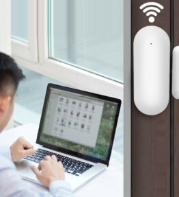 Tuya Wifi Smart Door Magnetic Anti-theft Burglar Alarm