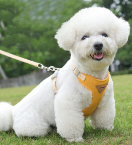 Anti-Breaking Loose Pet Harness with Dog Breast Strap